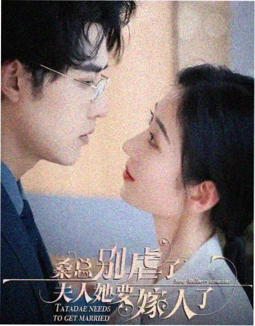 雾港笔记剧集合辑离线档案封面